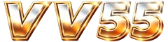 vv55.com